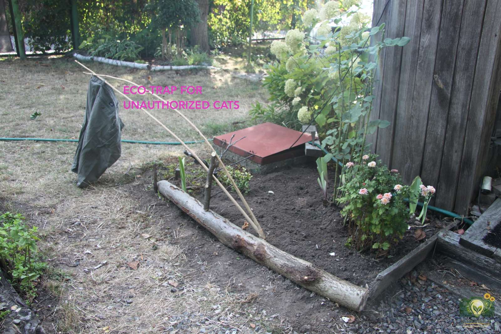 ECO-TRAP FOR UNAUTHORIZED CATS